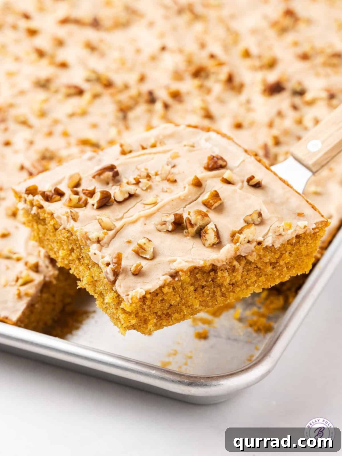 A hand reaching in to serve a perfect slice of pumpkin sheet cake directly from the pan, showing the generous frosting and chopped pecans.