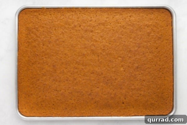 Baked pumpkin sheet cake in the pan, fresh out of the oven