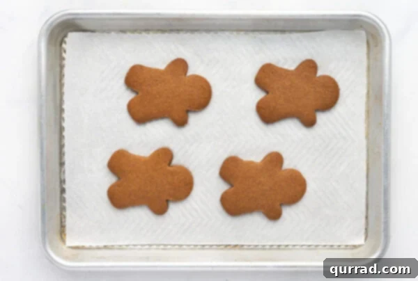 Freshly baked gingerbread man cookies on a baking sheet, with light golden edges, just out of the oven.