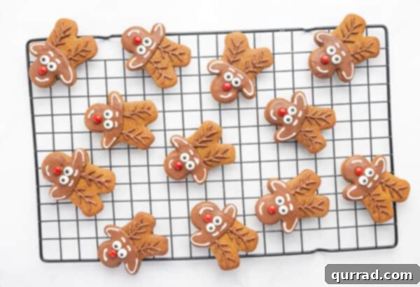 Decorated gingerbread cookies transformed into reindeer on a wire rack, with red noses and brown antlers.