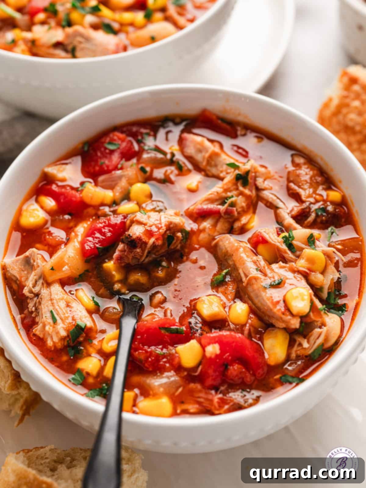 Southern Smokehouse Stew 4 Side view of brunswick stew in a white bowl with a spoon.