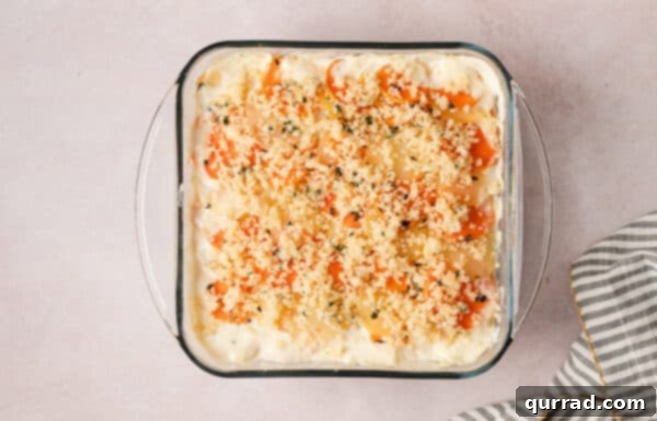 Harmonious Yukon and Sweet Potato Gratin 5 Overhead view of a partially baked sweet potato and Yukon gold gratin in a baking dish before adding topping.