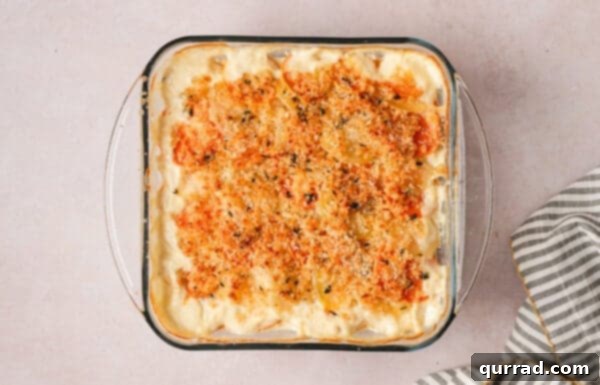 Harmonious Yukon and Sweet Potato Gratin 6 Overhead view of a fully baked Yukon gold and sweet potato gratin in a baking dish with golden brown topping.