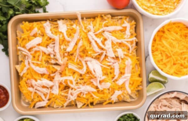Loaded Chicken Nachos 4 Pieces of rotisserie chicken on cheese and tortilla chips on a baking sheet