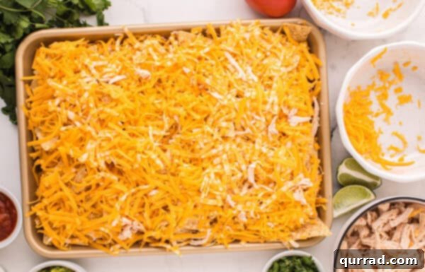 Loaded Chicken Nachos 5 Cheese sprinkled on top of tortilla chips on a baking sheet