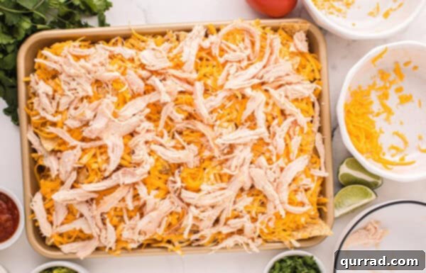 Loaded Chicken Nachos 6 Rotisserie chicken on top of cheese and tortilla chips on a baking sheet
