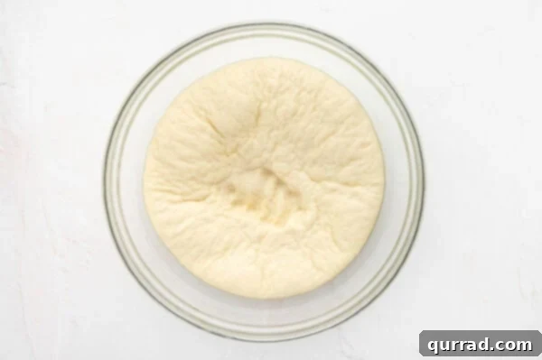 Risen dough in a bowl that has been gently punched down.
