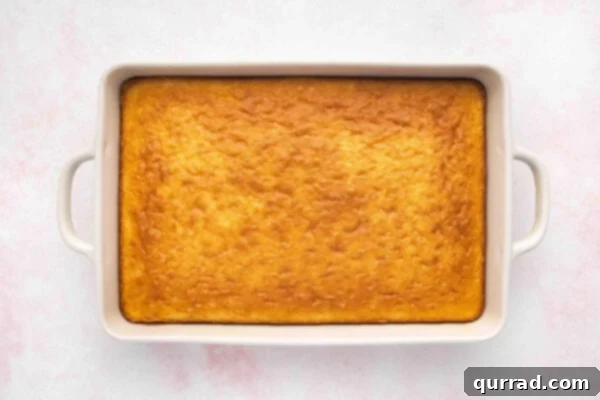A plain baked coconut cake cooling in its casserole dish, with a light golden-brown top.