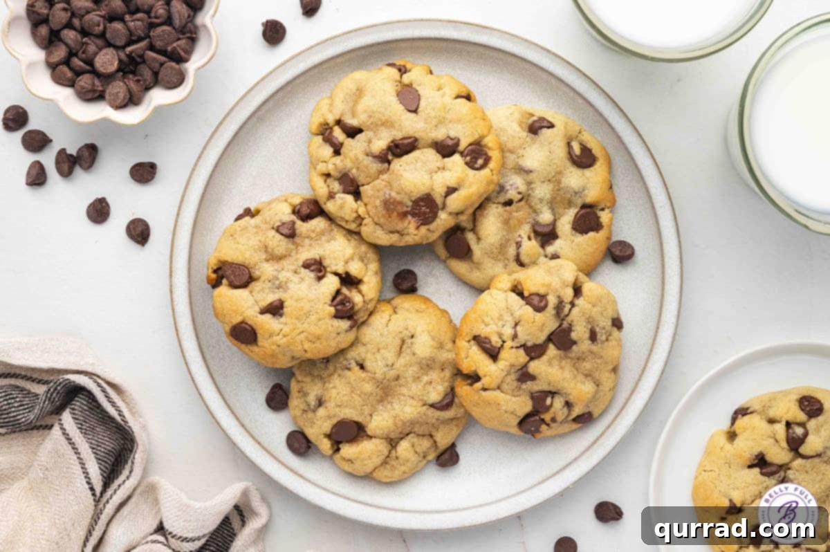 Your Personal Chocolate Chip Cookie 8 Overhead view of a white plate adorned with multiple chocolate chip cookies, garnished with a sprig of mint, highlighting their fresh and appealing presentation.