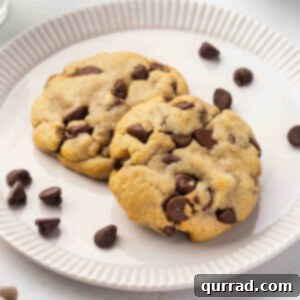 Two chocolate chip cookies on a white plate, showcasing the rich texture and melted chocolate