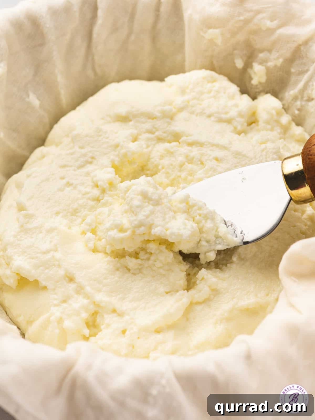 Crafting Fresh Ricotta at Home 3 close up portion of homemade ricotta cheese on serving knife