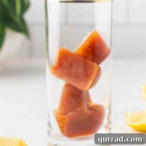 Bloody Mary Flavor Cubes 2 Bloody Mary ice cubes in a glass