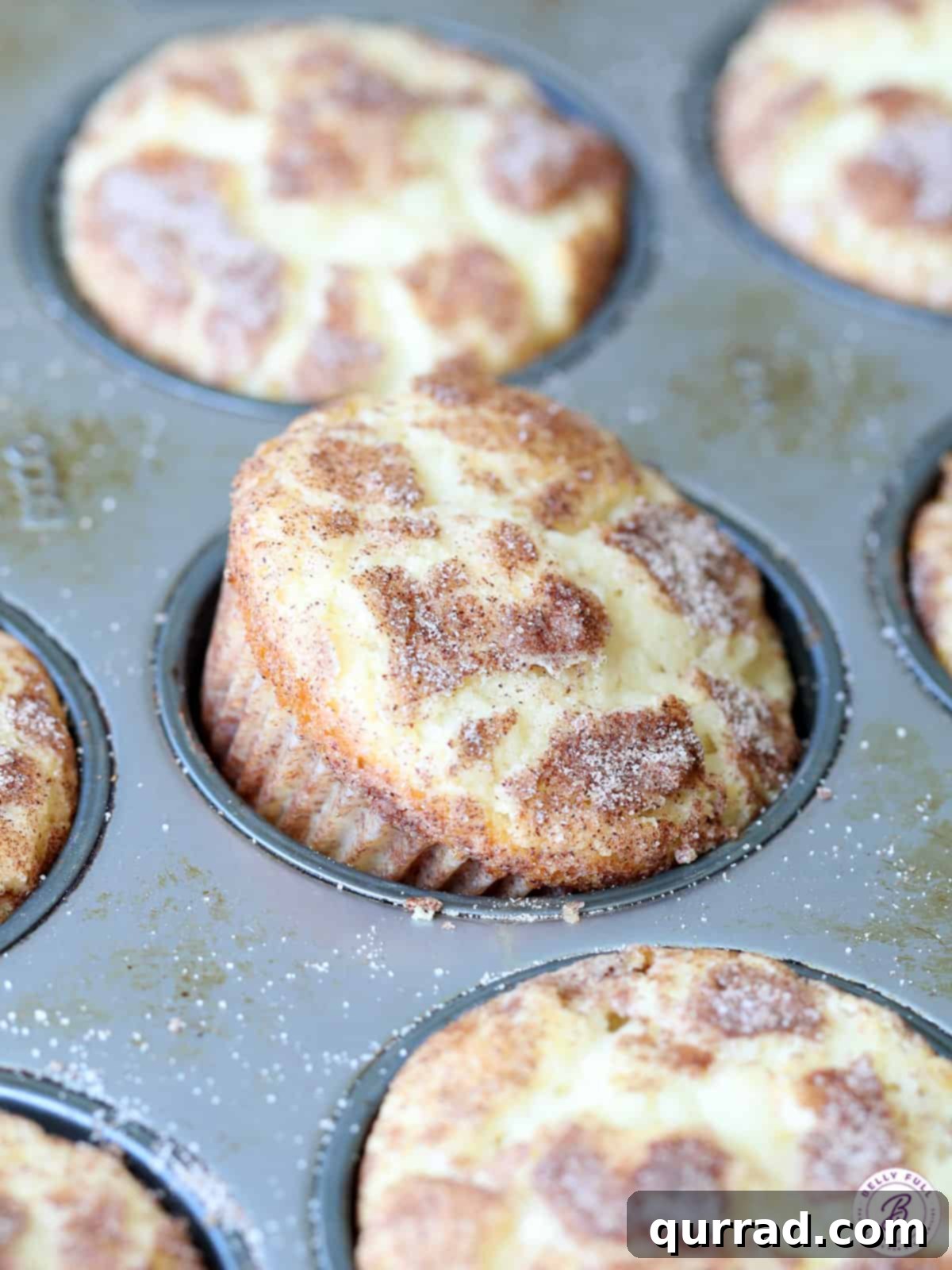Close-up of a golden-brown Snickerdoodle Muffin, tilted on its side in a baking tray, showcasing its cinnamon-sugar topping and fluffy texture.