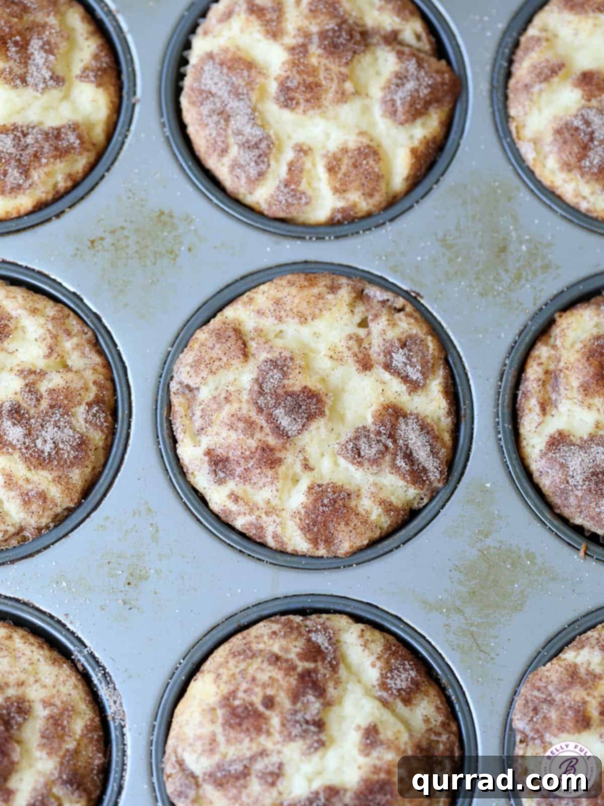 Overhead shot of freshly baked cinnamon-sugar coated muffins still warm in a muffin tin, ready to be enjoyed.
