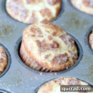 snickerdoodle muffin in baking tray tilted on its side