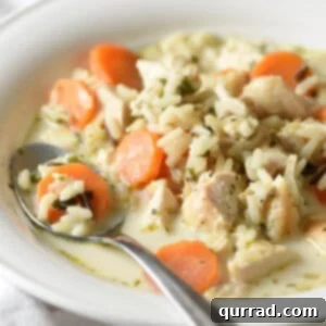 spoonful of chicken wild rice soup