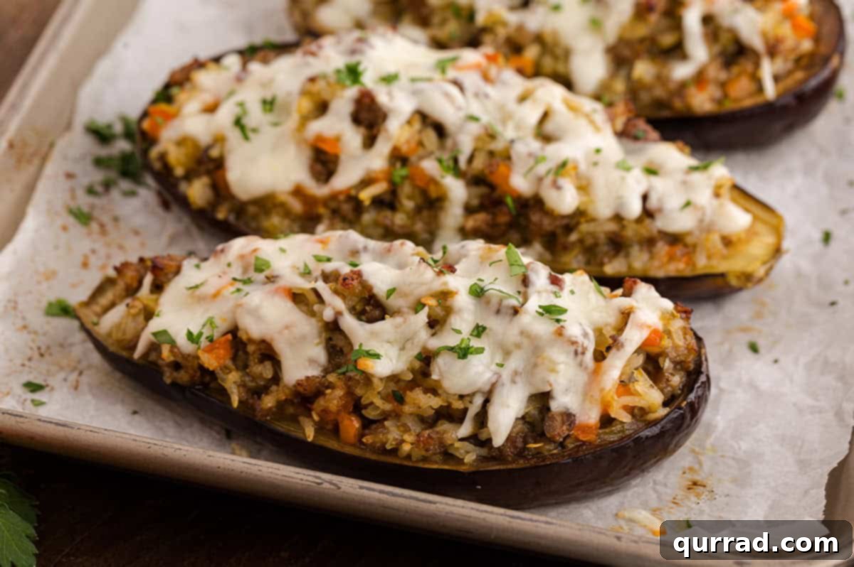 Savory Stuffed Eggplant 11 Stuffed eggplant halves baked and golden, just out of the oven.