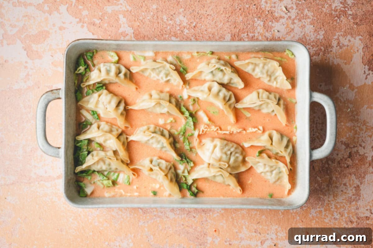 Thai Dumpling Oven Feast 6 An unbaked casserole dish showcasing 16 frozen dumplings neatly arranged in uniform rows on top of the submerged ramen noodles and cabbage, all resting in the creamy Thai curry sauce. The dumplings are still frosted, indicating they are frozen and ready for baking.