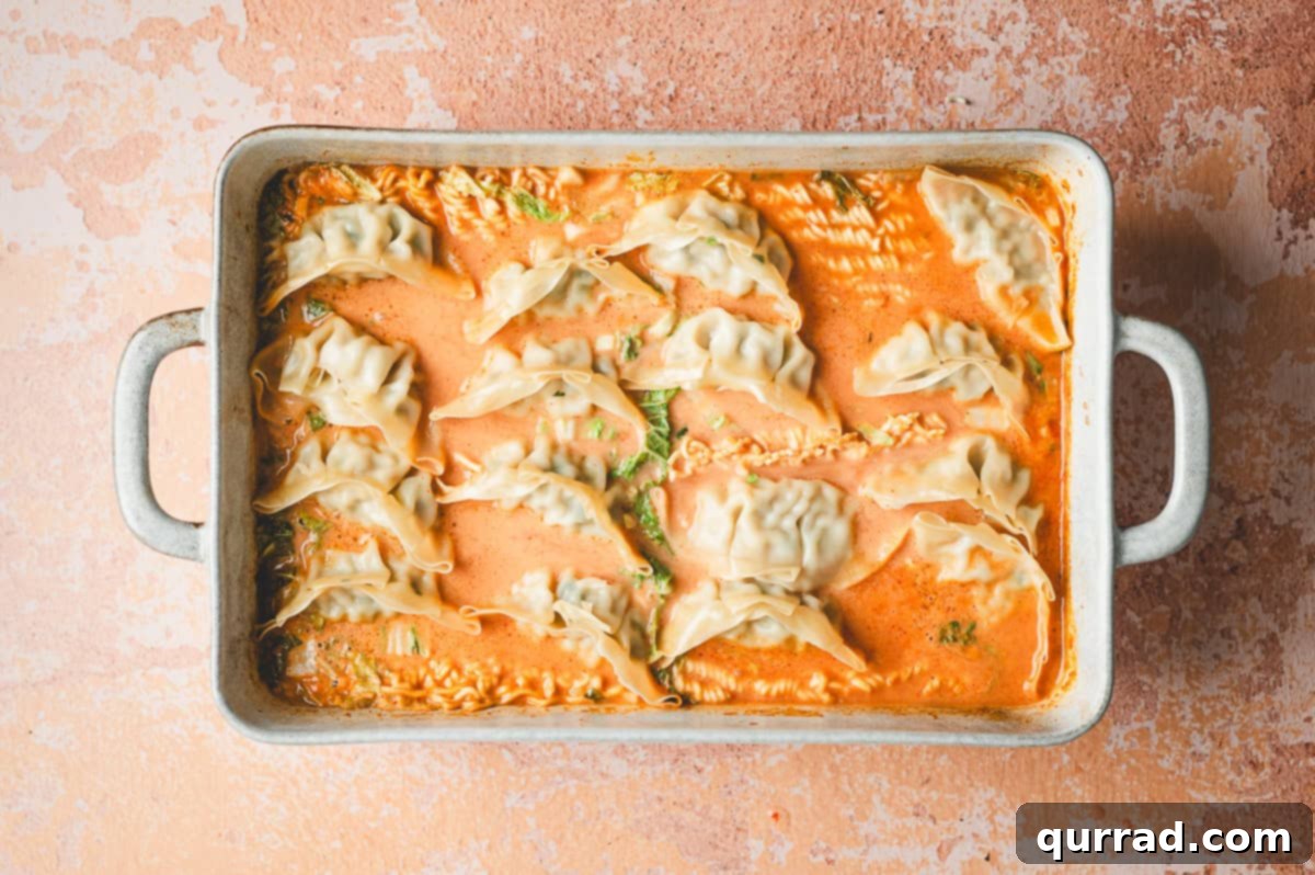 Thai Dumpling Oven Feast 7 The baked Thai dumpling casserole, fresh from the oven, showing plump, cooked dumplings nestled among perfectly tender ramen noodles in a visibly thickened, rich curry sauce. The surface has a golden hue, indicating a delicious, ready-to-serve meal.