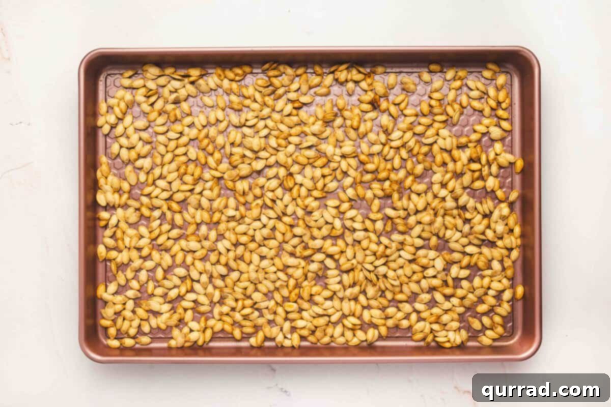Pumpkin seeds actively roasting in the oven on a baking sheet, starting to turn golden brown and develop a crispy texture.