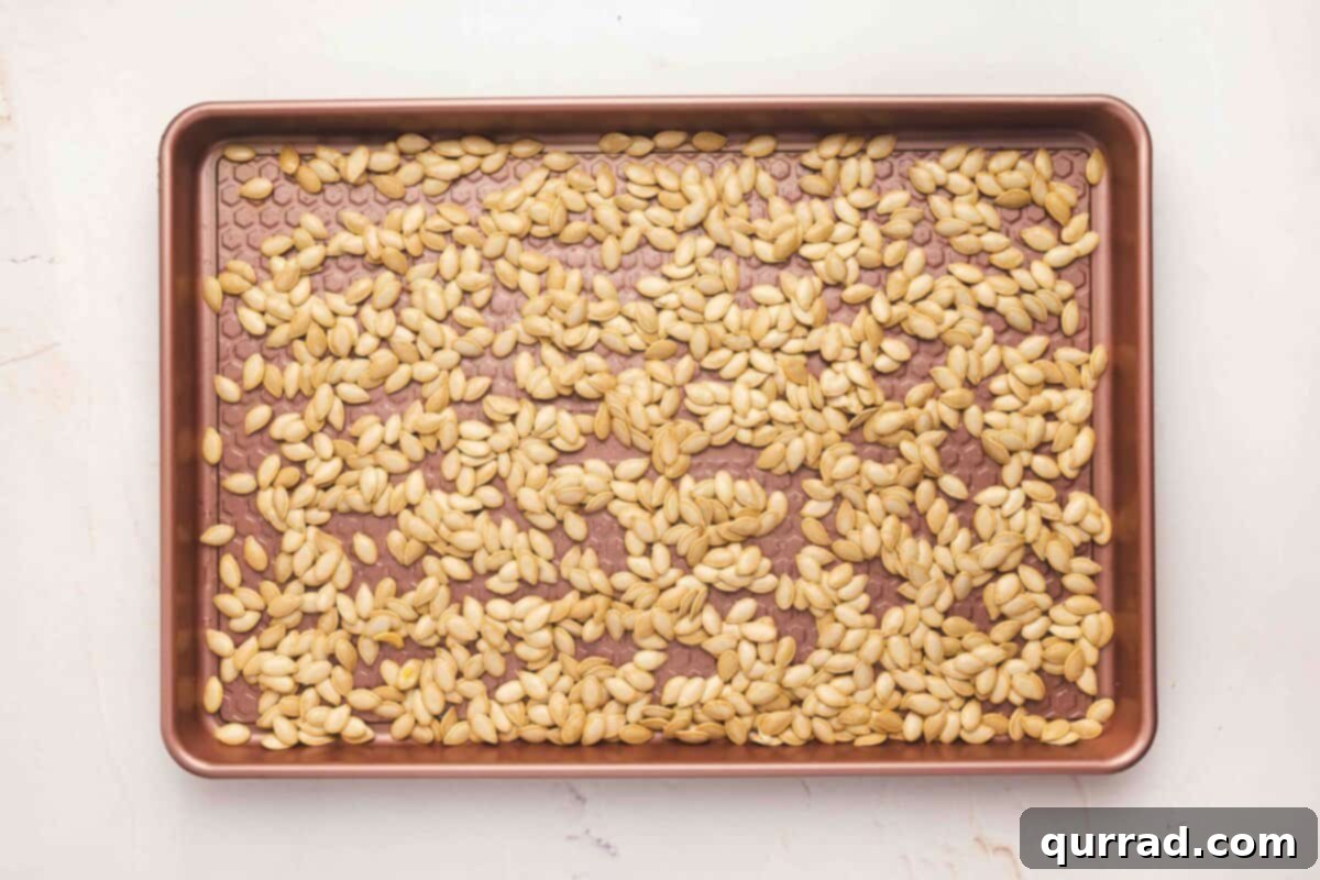 Seasoned pumpkin seeds spread in a single, uncrowded layer on a rimmed baking sheet, perfectly arranged for even roasting.