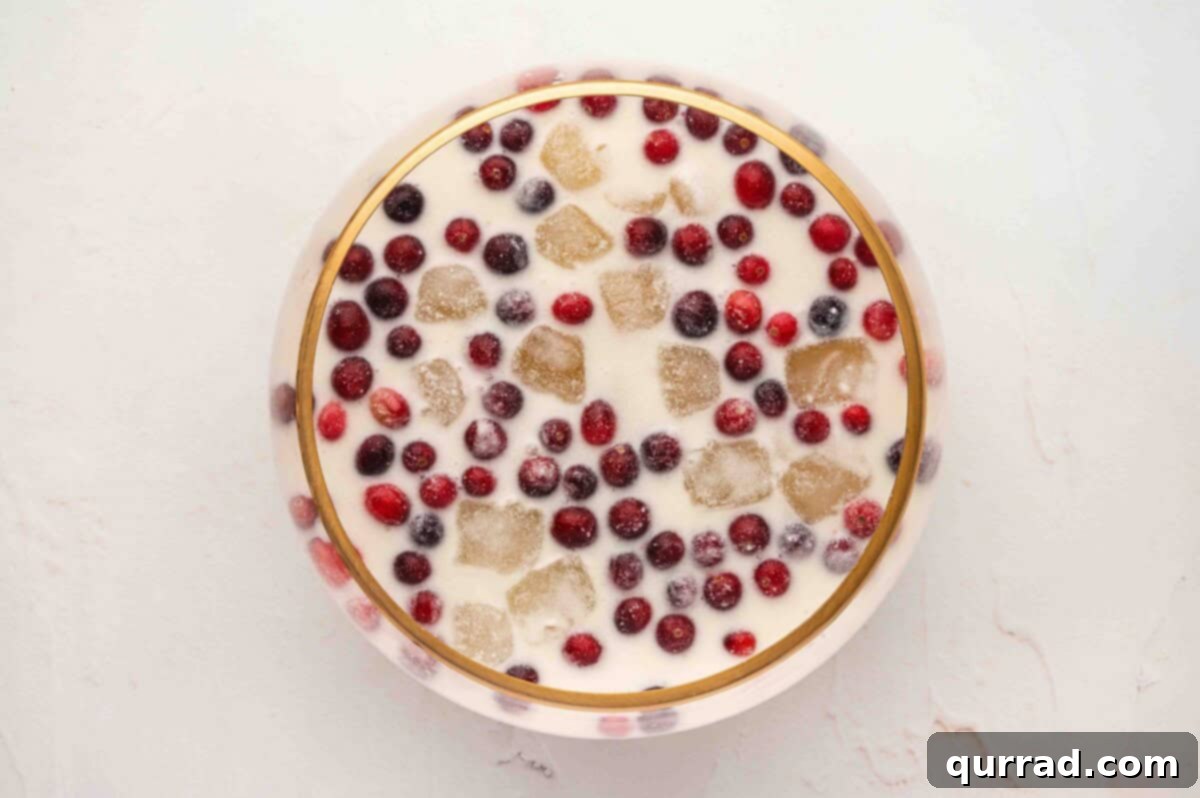 Icy Holiday Bliss 8 White Christmas Punch with Cranberries and Ice
