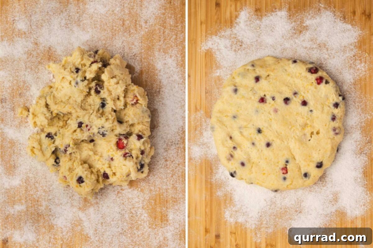 Cranberry Citrus Scones 9 1 inch circle of cranberry orange scone dough