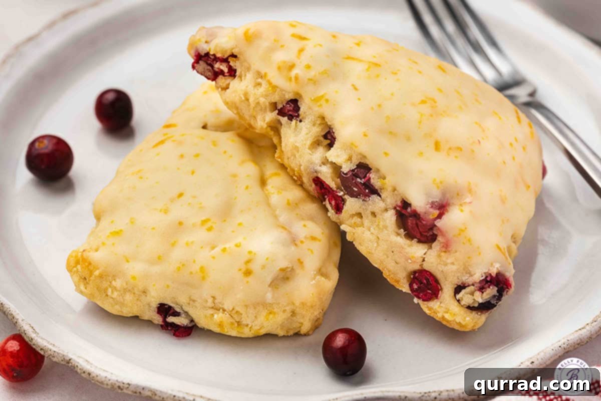 Cranberry Citrus Scones 14 Finished Cranberry Orange Scones