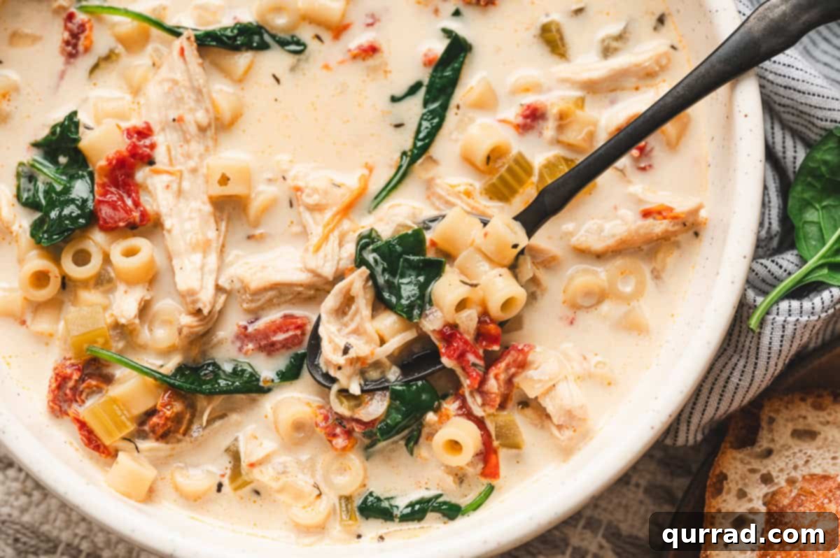 Marry Me Chicken Comfort Soup 12 Bowl of Marry Me Chicken Soup