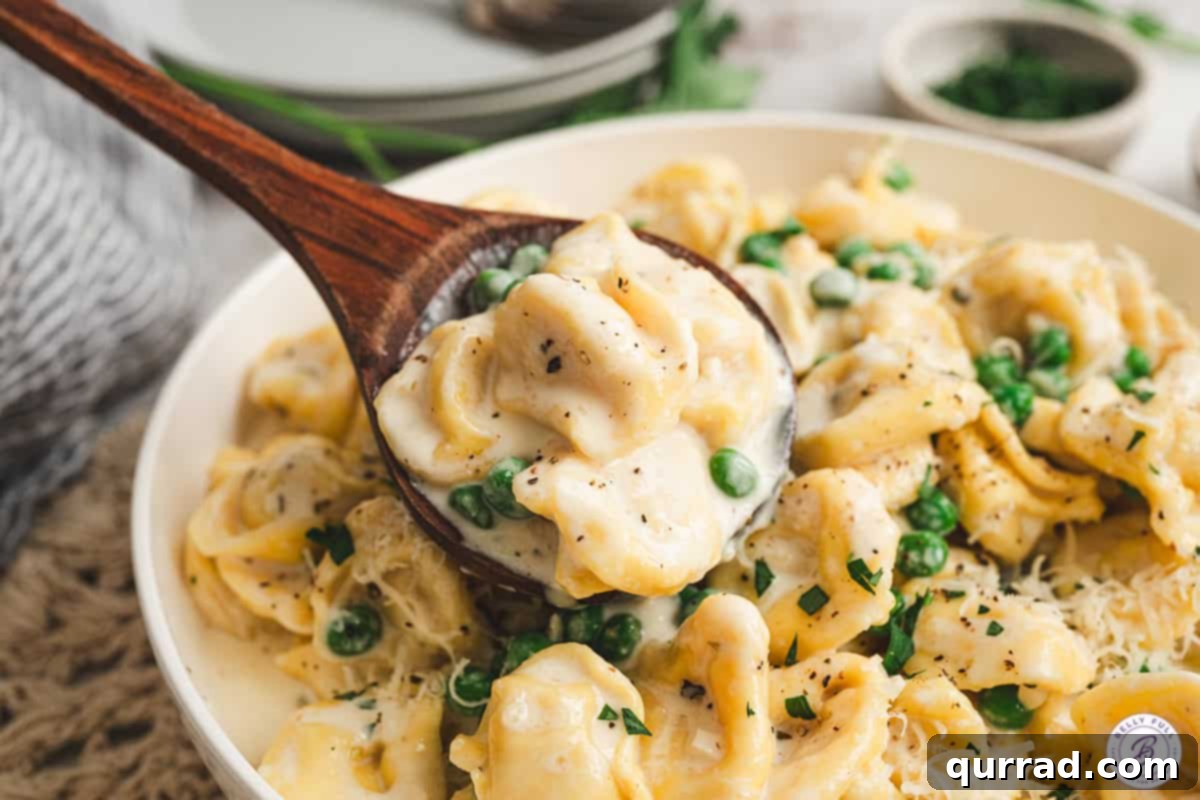 Tortellini in Cream Sauce
Tortellini Alfredo Magic 9 Spoon lifting cheese tortellini coated in creamy alfredo sauce with peas