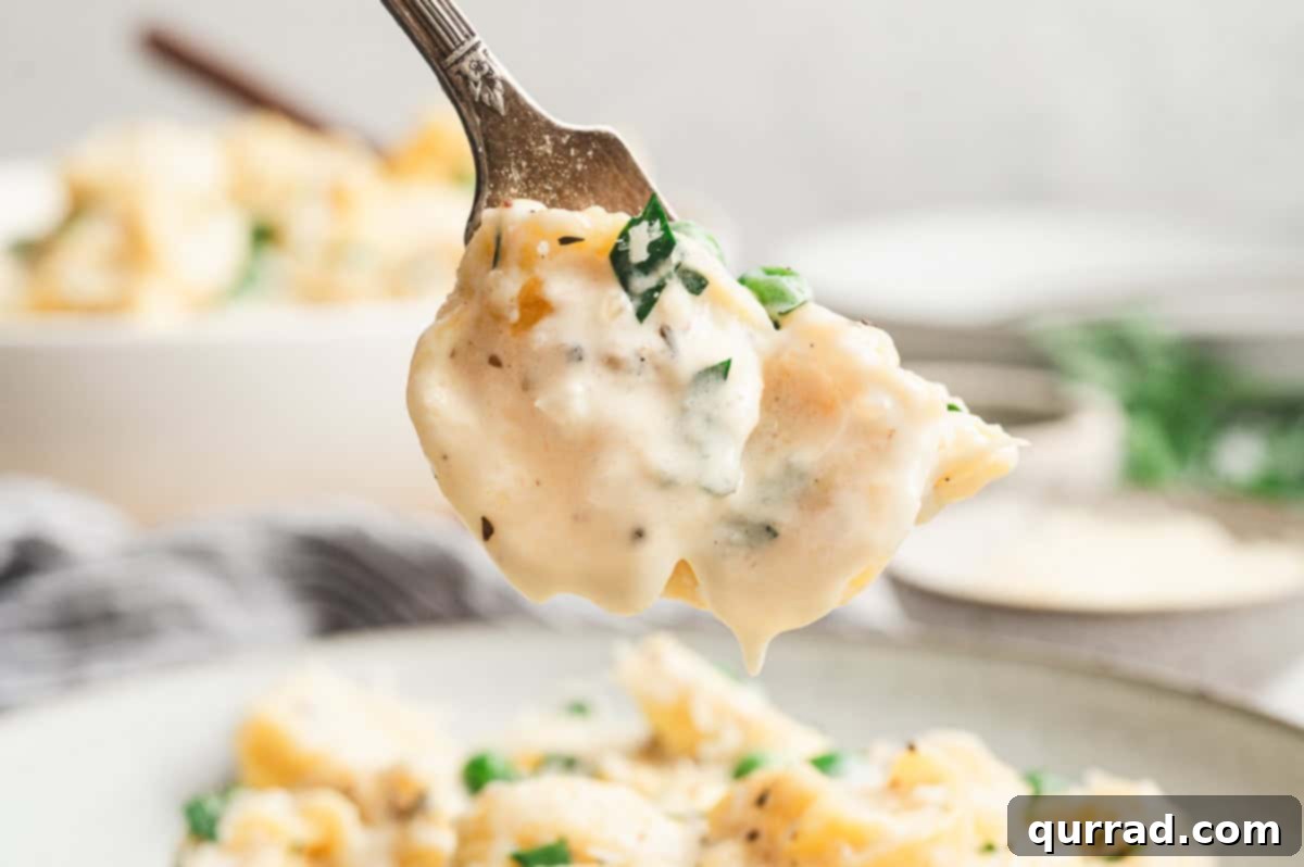 Tortellini in Cream Sauce
Tortellini Alfredo Magic 10 Fork holding a bite of cheese tortellini covered in rich alfredo sauce