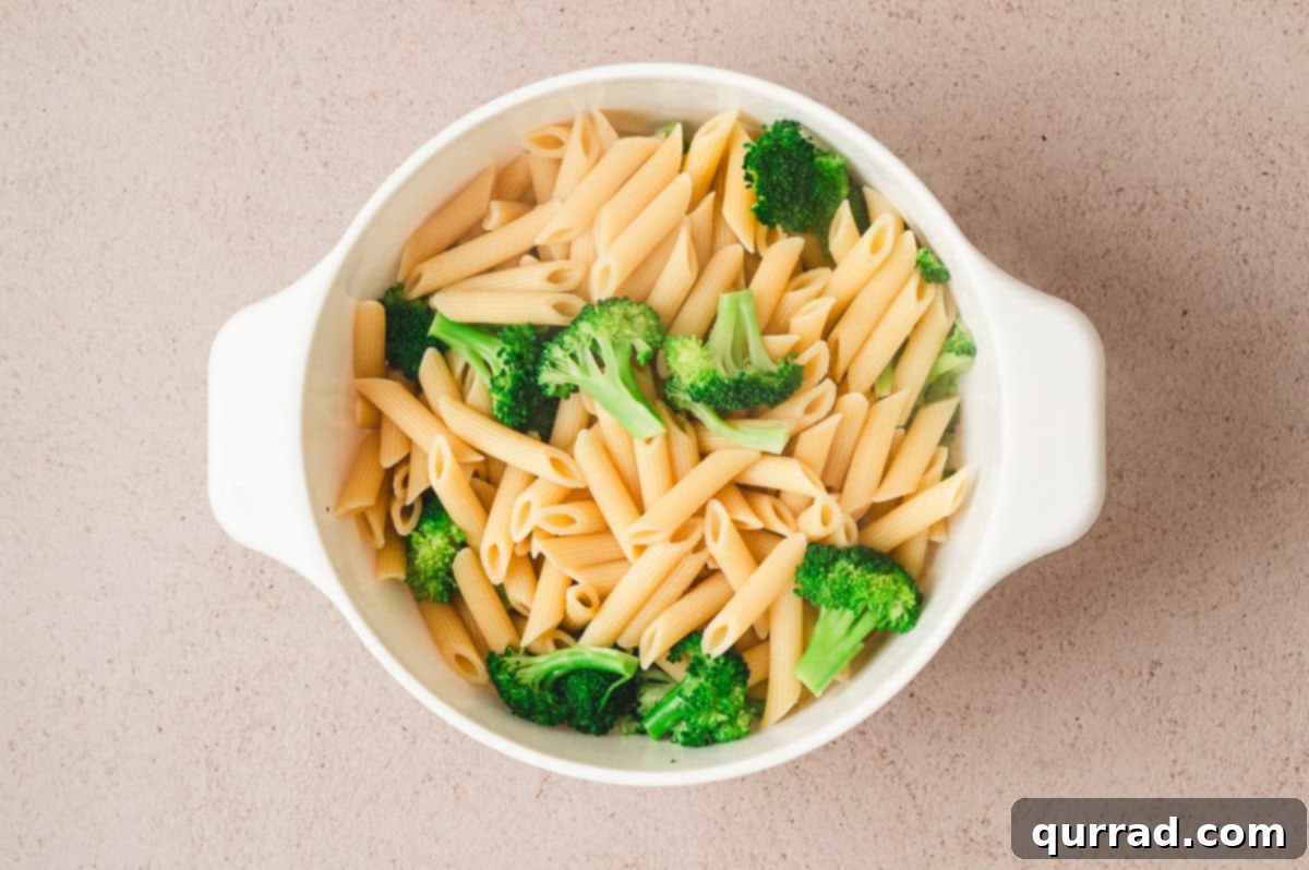 Cooked penne pasta and bright green broccoli florets drained