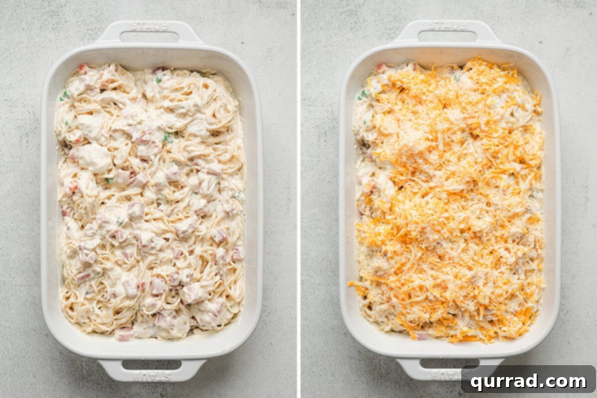 Rustic Tetrazzini 8 The ham tetrazzini mixture poured into a baking dish and topped with shredded Colby Jack and Parmesan cheeses, ready for the oven.