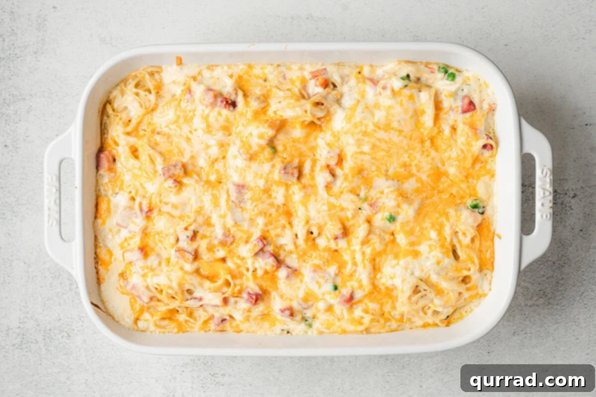 Rustic Tetrazzini 9 A covered baking dish containing ham tetrazzini placed in an oven.