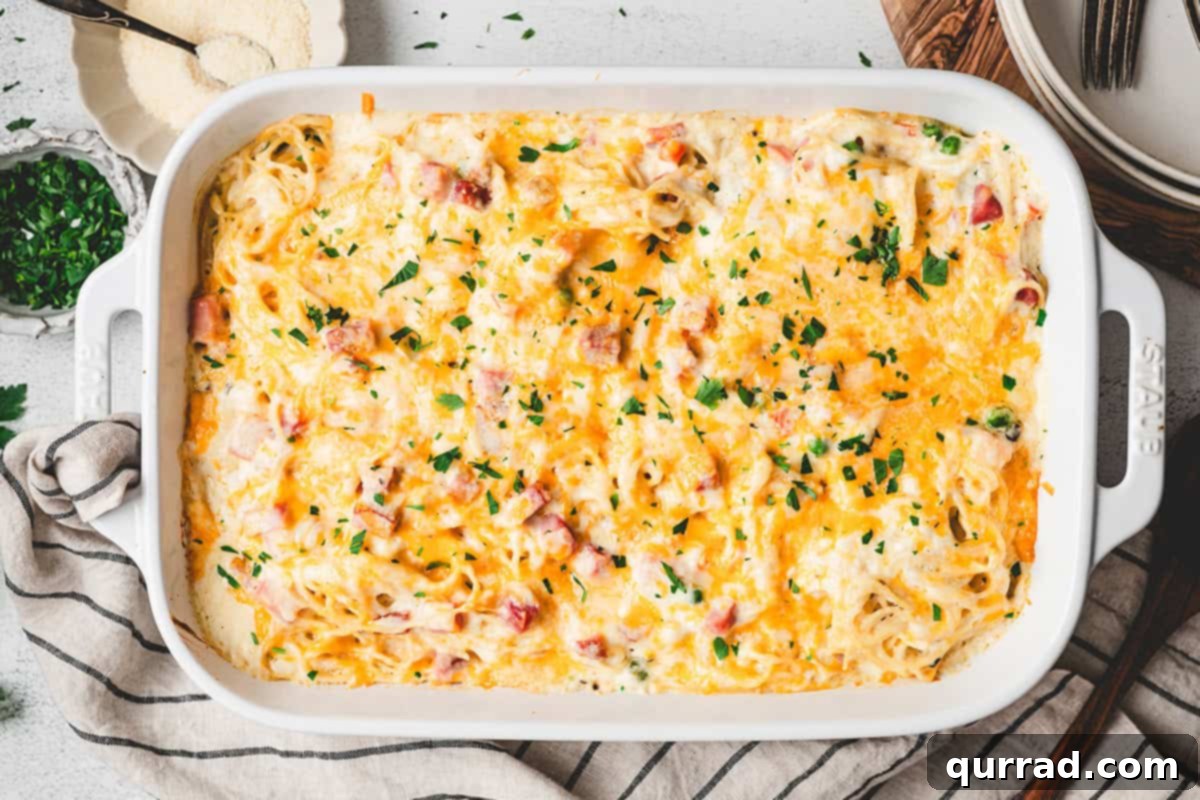 Rustic Tetrazzini 10 A bubbling, golden-brown ham tetrazzini casserole, just removed from the oven.