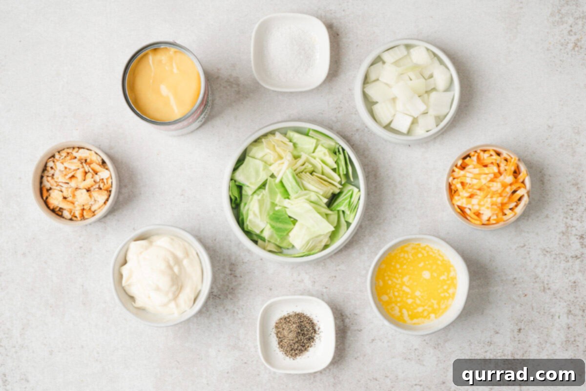 The ingredients laid out for making cabbage casserole, including a head of cabbage, an onion, canned soup, mayonnaise, crackers, and cheese.