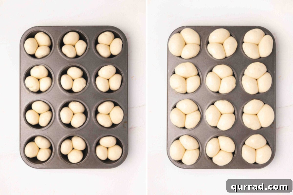Golden Pull-Apart Buns 7 A standard 12-slot muffin pan with three small dough balls placed in each cup before rising, and a second image showing the dough balls after they have risen beautifully to double their size, creating the cloverleaf shape.
