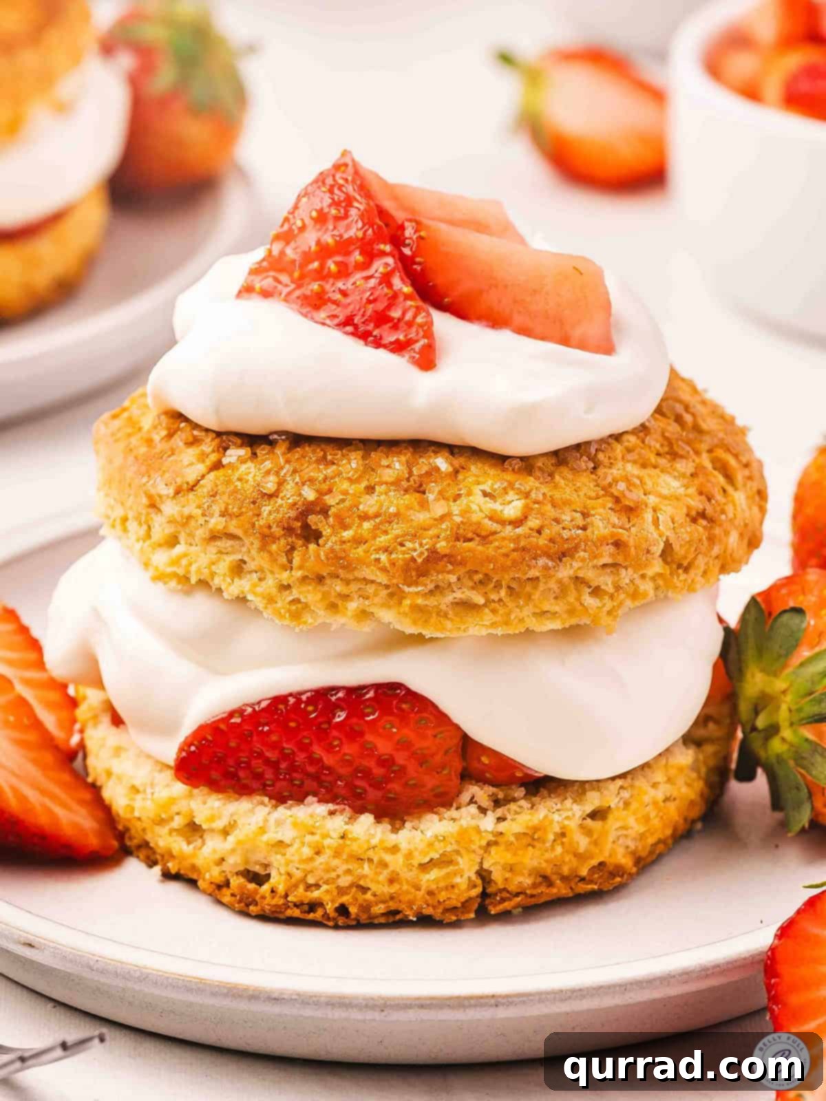 Sweet Berry Delights 2 Side view of a strawberry shortcake on a plate.