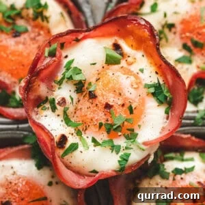 Savory Ham & Cheese Egg Cups for Quick Breakfast or Brunch 3 Overhead close up view of ham and cheese egg cups.