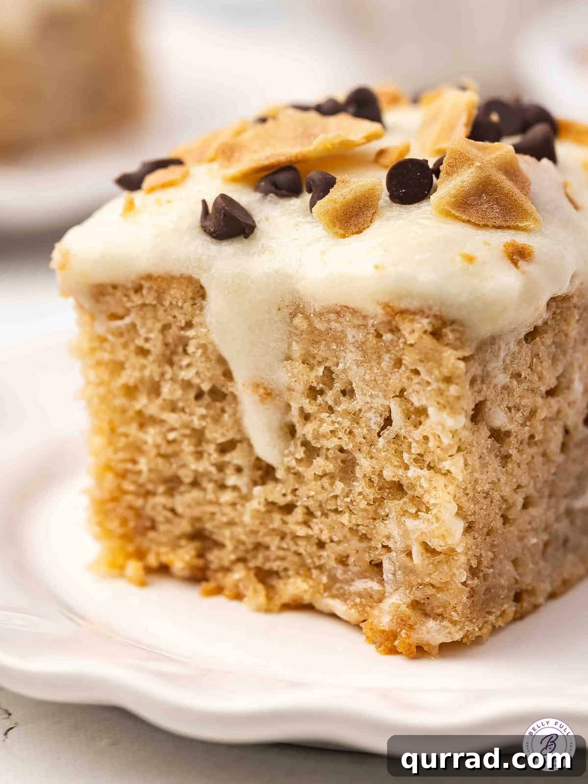 Decadent Cannoli Cake Recipe with Ricotta Filling and Crisp Shells 12 A slice of cannoli cake on a white plate