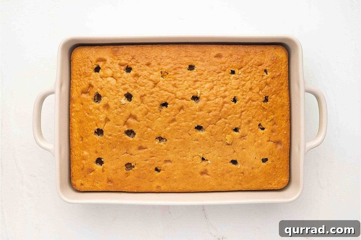Decadent Cannoli Cake Recipe with Ricotta Filling and Crisp Shells 5 Overhead view of a cake with holes poked in it