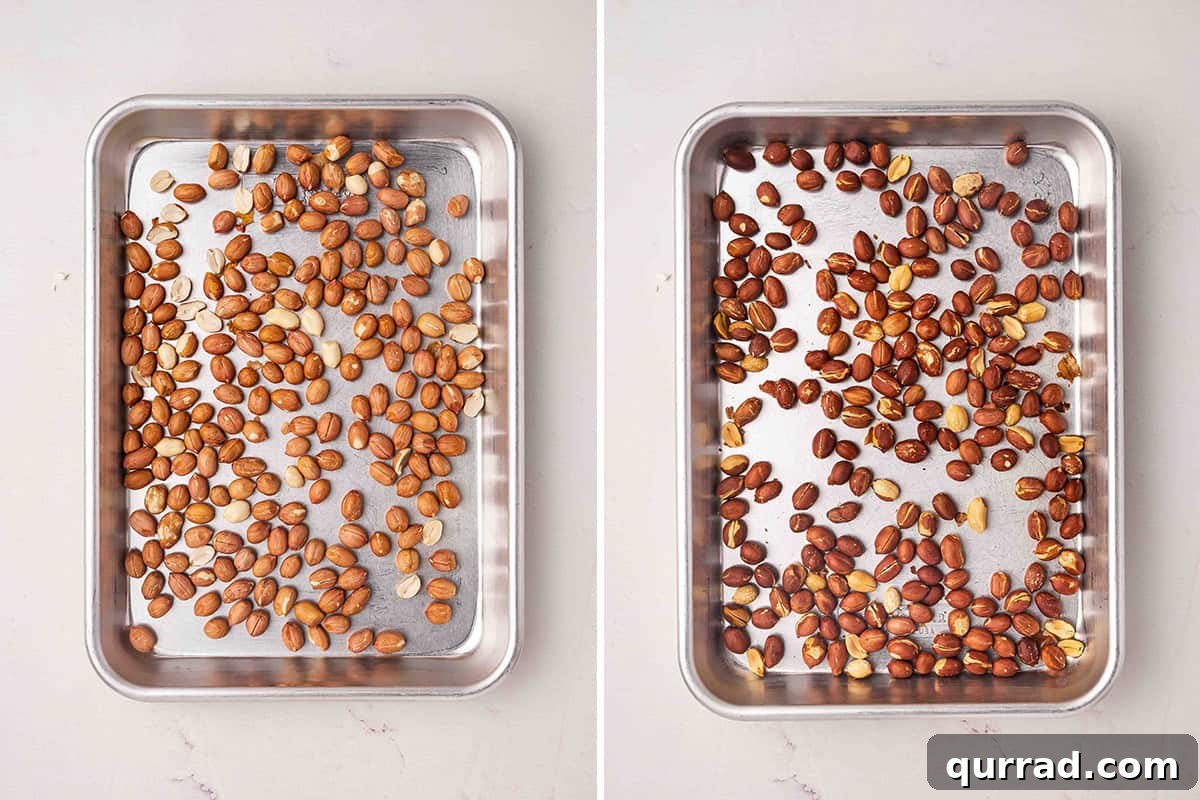 Spanish peanuts on a baking sheet, followed by those same Spanish peanuts after roasting.