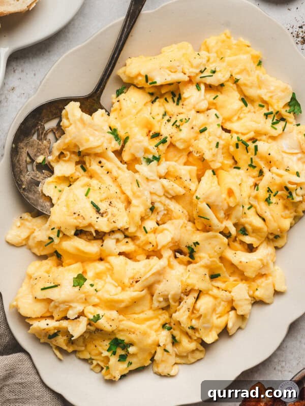 Marry Me Butter Swirl Biscuits 12 Creamy fluffy scrambled eggs topped with fresh chives and black pepper